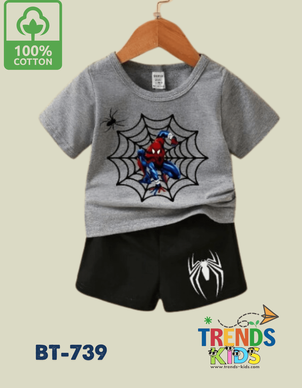 Spider-Man Print  T-Shirt & Pants Set