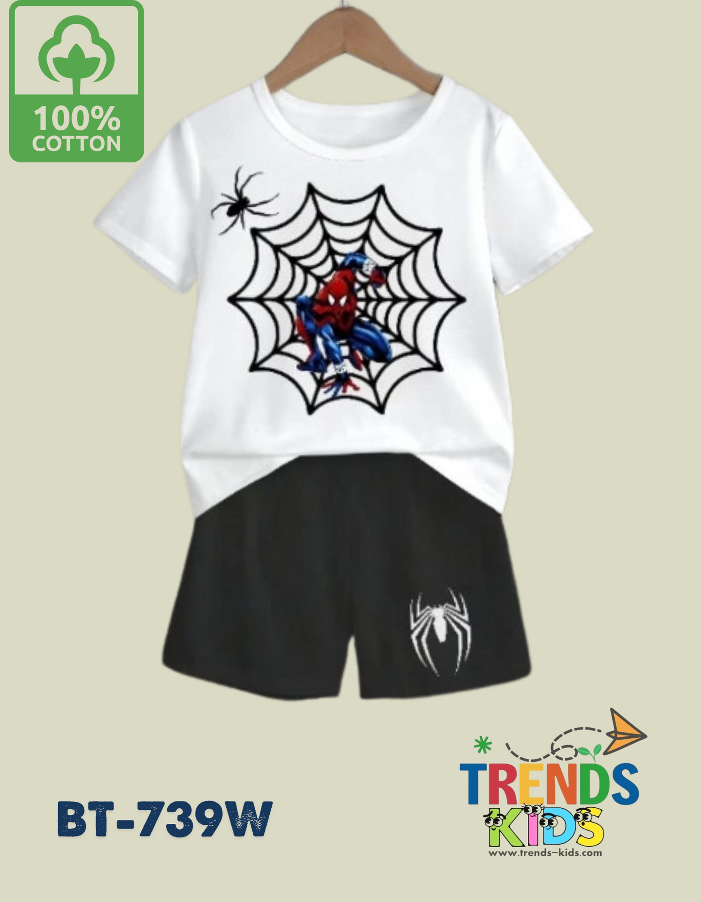 Spider-Man Print T-Shirt & Pants Set