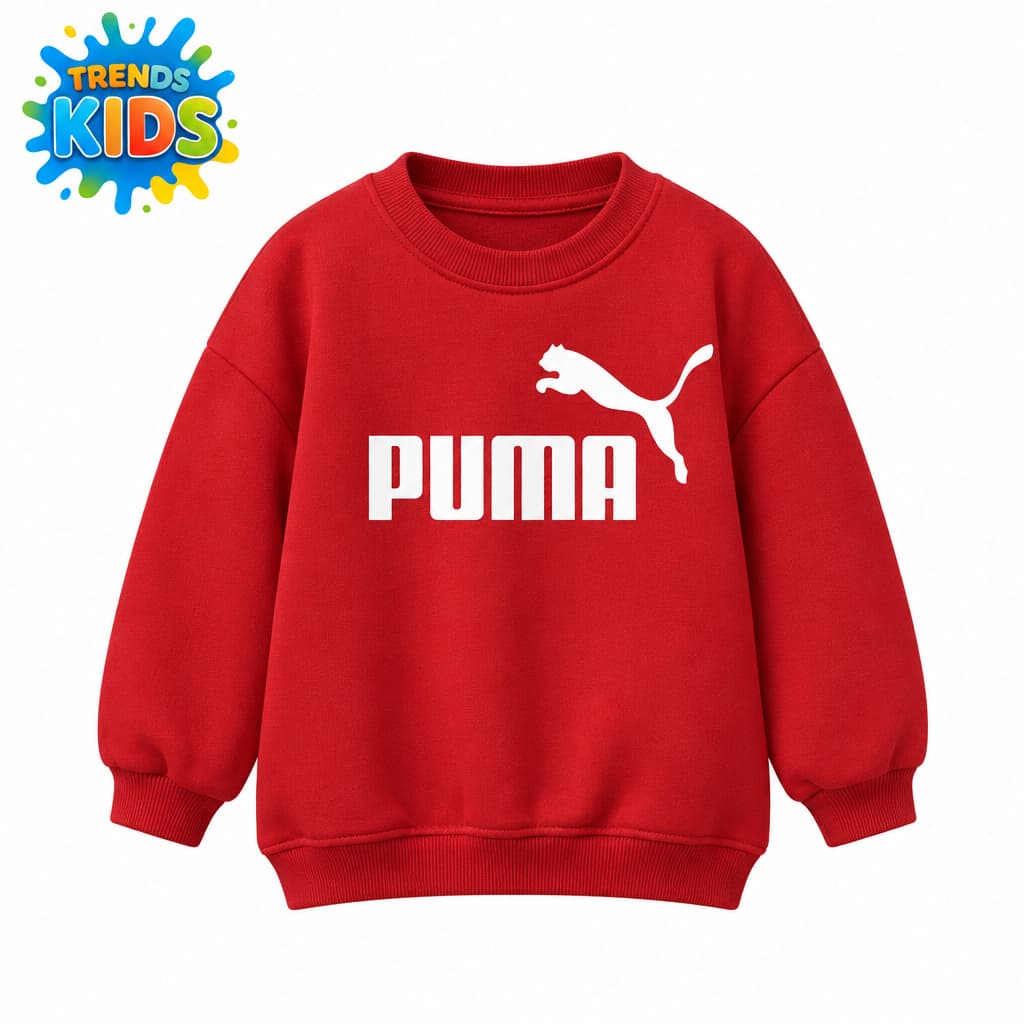 Style Kids Sweatshirt (BSR-776) | Red Winter Wear