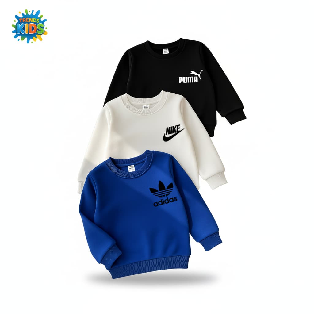 Kids Branded Sweatshirt Combo –3 Sweatshirt Premium 100% Terry Cotton